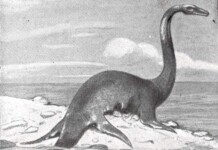 Calafate Jurásico: encontraron un plesiosaurio en el Lago Argentino Recreación de un pleniosaurio en el lago Ness