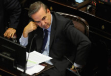 Miguel Ángel Pichetto: “La Argentina necesita un tipo duro”