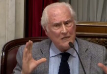 Pino Solanas emula a las moscas, se posa tanto en la flor como en el excremento