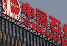 SINOPEC Argentina dio un informe en Cámara de Diputados