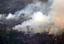 La crisis por los incendios en la Amazonia acorrala a Bolsonaro y desata protestas La crisis por los incendios en la Amazonia acorrala a Bolsonaro y desata protestas