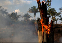 Bolsonaro culpa a las ONG por los incendios fuera de control en la Amazonia Bolsonaro culpa a las ONG por los incendios fuera de control en la Amazonia
