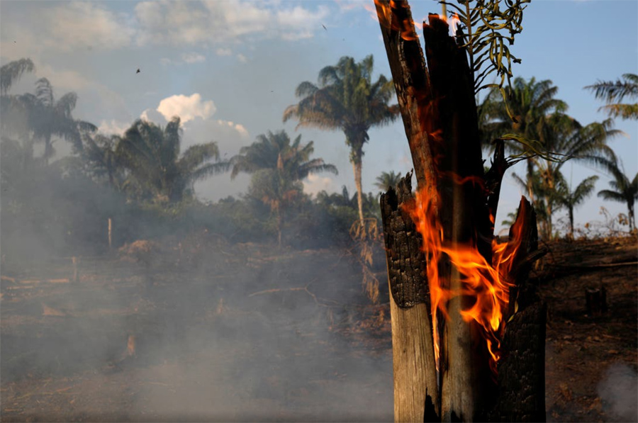 Bolsonaro culpa a las ONG por los incendios fuera de control en la Amazonia