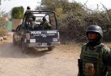 Ocho muertos durante un feroz enfrentamiento armado en México Ocho muertos durante un feroz enfrentamiento armado en México