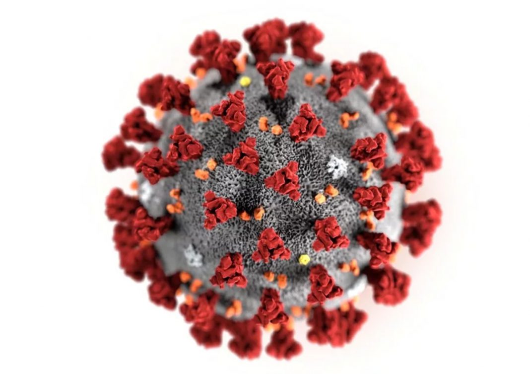 Coronavirus: ya son 212 los muertos en China y casi 9 mil los casos confirmados