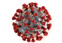 Coronavirus: ya son 212 los muertos en China y casi 9 mil los casos confirmados