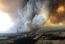 Incendios en Australia: declaran el estado de emergencia, miles huyen y el humo ya llega a Nueva Zelanda Incendios en Australia: declaran el estado de emergencia, miles huyen y el humo ya llega a Nueva Zelanda