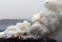 Los países de Oceanía se movilizan para apagar el infierno australiano Los países de Oceanía se movilizan para apagar el infierno australiano