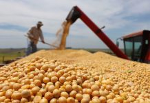 El Estado se quedaría con más del 53% mientras el productor perdería plata