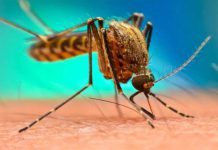 Segunda víctima mortal en el país en lo que va del año Segunda víctima mortal en el país en lo que va del año