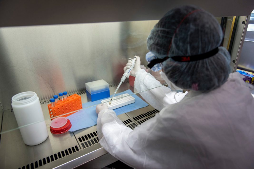 El Instituto Malbrán analiza 300 muestras diarias de casos sospechosos de coronavirus y puede triplicar ese número, ya que no tiene colmada su capacidad operativa, informó el Ministerio de Salud de la Nación - Foto: Telam