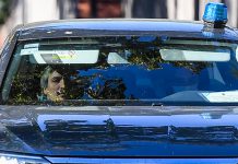 La inquietante fortuna de Máximo Kirchner, el hombre que nunca trabajó y lo podría alcanzar su propio impuesto La inquietante fortuna de Máximo Kirchner, el hombre que nunca trabajó y lo podría alcanzar su propio impuesto - Foto: Telam