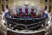 El Senado avaló decretos del Gobierno en la primera sesión virtual de su historia