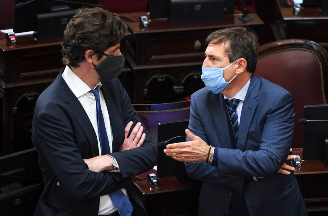 Senador nacional por la provincia de Formosa, Luis Naidenoff junto a Martín Lousteau - Foto: Prensa Senado