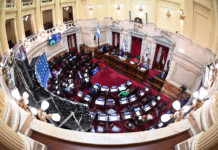 Senado: el kirchnerismo enfrenta una renovación complicada en las próximas elecciones El Senado de la Nación - Foto: Prensa Senado