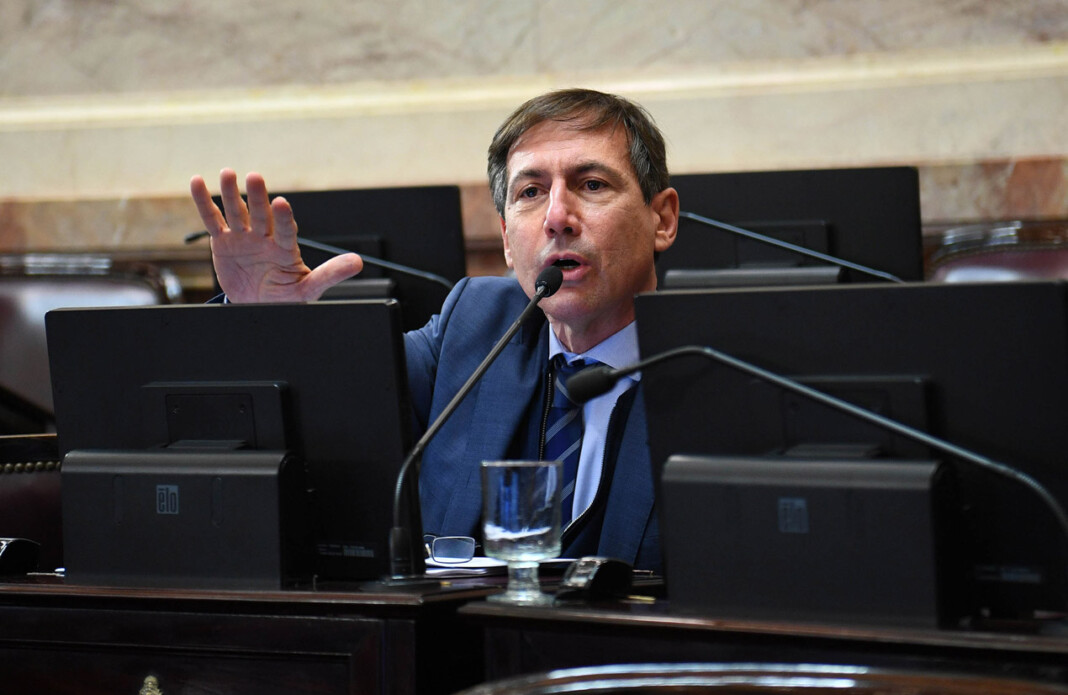 Senador nacional por la provincia de Formosa, Luis Naidenoff - Foto: Prensa Senado