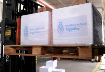 En el Gobierno justifican la demora de la Sputnik V y hablan de un “cuello de botella” en la producción Coronavirus: el martes arranca la vacunación, pero recién en enero se publicará la información científica de Sputnik V