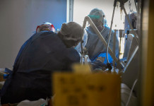 El Gobierno no descarta un nuevo IFE “si hay rebrote y la situación social se complica” Coronavirus en la Argentina - Foto: Telam