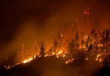 LLEGÓ LA LLUVIA A LA CORDILLERA, EXTINGUIÓ EL FUEGO Y DEJÓ EN CARNE VIVA LOS RASTROS DE UN DESASTRE, DE LA INCAPACIDAD Y LA MENTIRA LLEGÓ LA LLUVIA A LA CORDILLERA, EXTINGUIÓ EL FUEGO Y DEJÓ EN CARNE VIVA LOS RASTROS DE UN DESASTRE, DE LA INCAPACIDAD Y LA MENTIRA