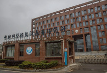 El instituto Wuhan Covid 19 China -