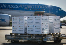 Vuelos para traer vacunas: en 15 viajes el Gobierno gastó US$ 6,4 millones