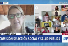 Quién es Claudia Najul, la diputada que le preguntó al Fondo Covax sobre los detalles de Pfizer Claudia Najul diputada nacional de Juntos por el Cambio