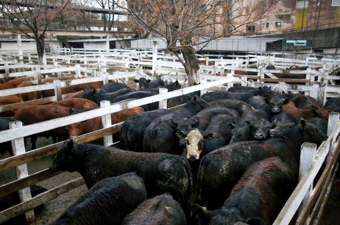Tras el paro ganadero, volvió la hacienda a Liniers y no hubo baja de precios