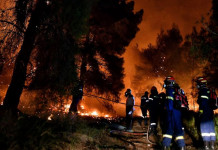 Los incendios en Italia ya dejaron cinco muertos y amenazan con llegar a sitios declarados patrimonio de la Unesco Los incendios en Italia ya dejaron cinco muertos