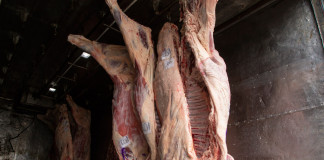 Carne, medias, precios