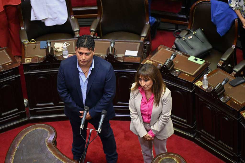 Roxana Reyes y Claudio Vidal juran como Diputados por Santa Cruz - Foto: Telam