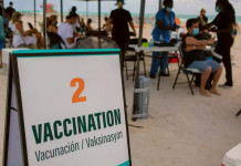 Desde hoy, EE.UU. exige un test negativo de Covid realizado un día antes de volar a todos los viajeros Vacunas en Estados Unidos -