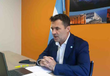 El secretario de Energía, Darío Martínez - Foto: NA