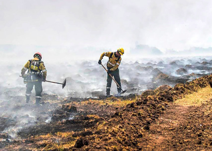 Incendios en Corrientes - Foto: NA