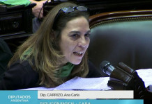 La máxima estupidez de Juntos por el Cambio y los Radicales: una diputada nacional quiere desarmar a la policía y las Fueras Armadas La diputada nacional de Juntos por el Cambio Ana Carla Carrizo