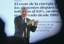 El ministro de Economía, Martín Guzmán, expone durante el cierre del foro organizado por la Asociación Empresaria Argentina (AEA) - Foto: NA