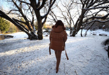 Cristina Kirchner trata de avanzar también en las FF.AA. metiendo una cuña propia en el Ejército Cristina Kirchner vicenpresidenta de la Nación -