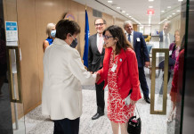 La ministra de Economía, Silvina Batakis en el FMI - Foto: Twitter