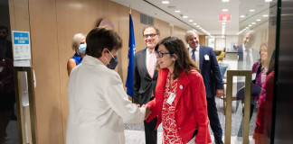 La ministra de Economía, Silvina Batakis en el FMI - Foto: Twitter