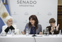 Cristina Kirchner en el Senado de la Nación - Foto: NA