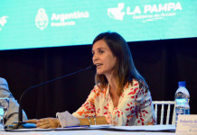 Seis provincias van contra el Gobierno por la plata para los jubilados Fernanda Raverta de Anses - Foto: NA