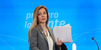 La secretaria de Energía, Flavia Royón - Foto: NA