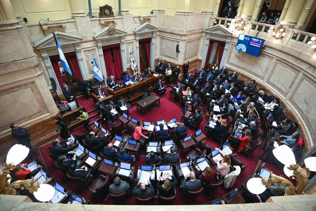 Sesión pública especial del Senado de la Nación, el 10 de agosto 2022 - Fotos: Charly Diaz Azcue/Comunicación Senado