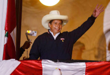 Perú: el Congreso lo citó y comienza otra semana crítica para el presidente Pedro Castillo El presidente peruano, Pedro Castillo - Foto: NA