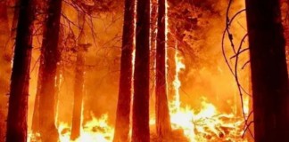 Incendio en Tolhuin Tierra del Fuego -