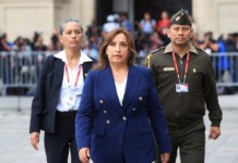 Dina Boluarte, la nueva presidenta de Perú, dejó en claro que por ahora no llamará a elecciones Dina Boluarte, la nueva presidenta de Perú - Foto: NA