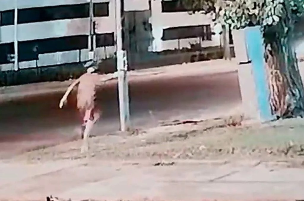 El ataque a balazos que sufrió esta madrugada el edificio de Televisión Litoral, en la ciudad de Rosario