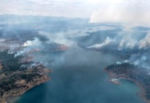 Prosigue el pavoroso incendio de bosques en Tolhuin, accidentes del personal y una medida legislativa Prosigue el pavoroso incendio de bosques en Tolhuin, accidentes del personal y una medida legislativa