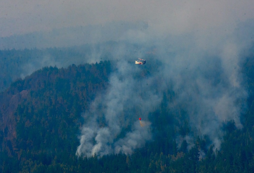 Incendio forestal en Chubut - Foto: NA