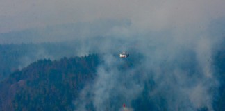 Incendio forestal en Chubut - Foto: NA