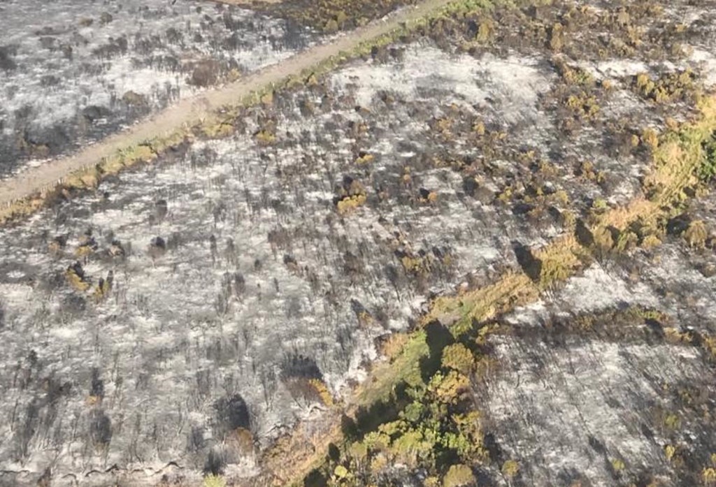 Después de consumir 1.400 hectáreas de bosque nativo en Parque Los Alerces, el fuego estaría virtualmente controlado